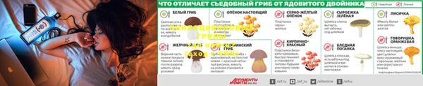 бошки Алексеевка
