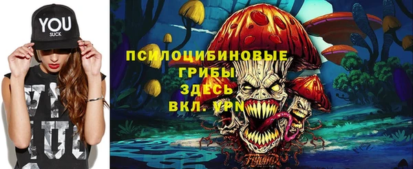 дмт Алексин