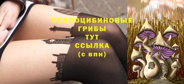 дмт Алексин
