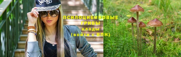 бошки Алексеевка