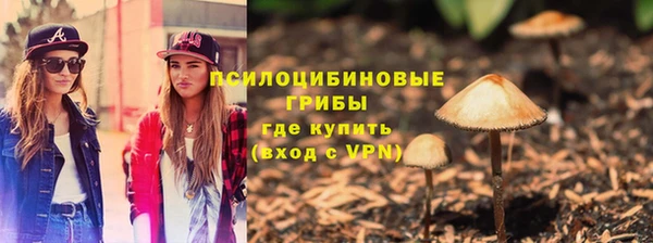 дмт Алексин