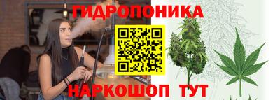 спиды Краснознаменск