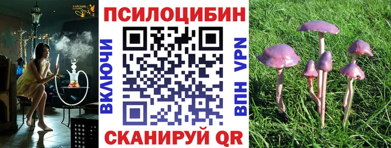 хочу наркоту  Канаш  Псилоцибиновые грибы Cubensis 
