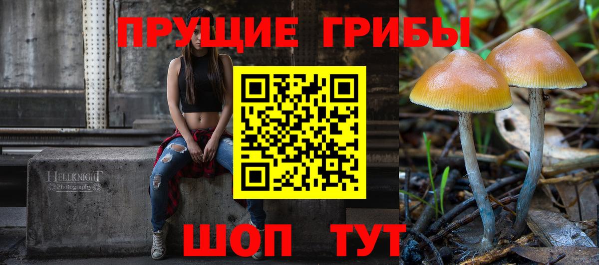 Канаш  Псилоцибиновые грибы ЛСД  Вход с VPN  Псилоцибиновые грибы MAGIC MUSHROOMS 