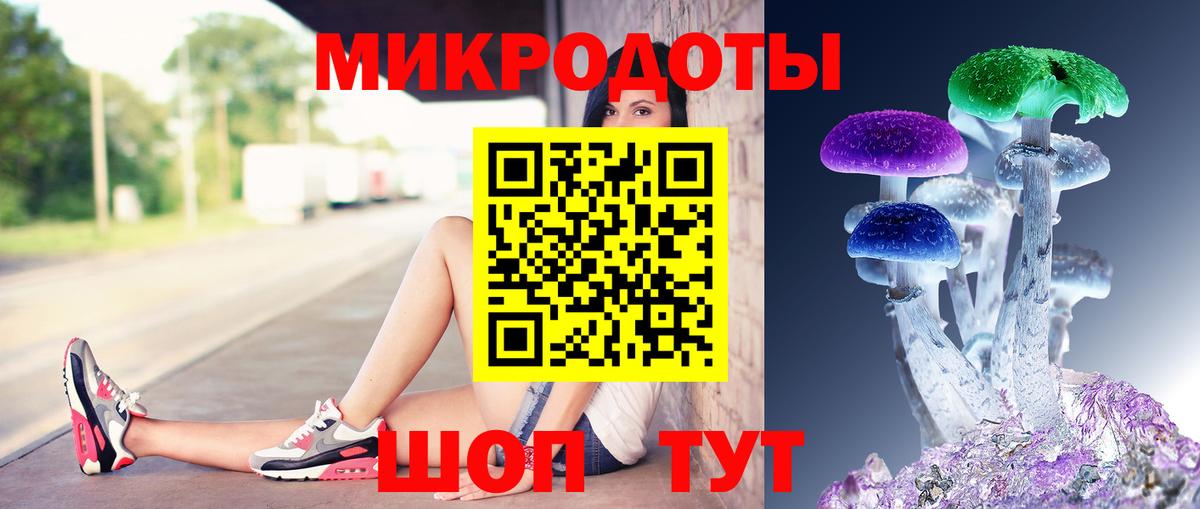 Галлюциногенные грибы Cubensis Канаш
